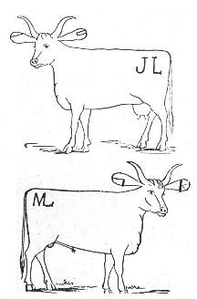 Territorial Brand Book. Brands for John Labarge and George Marlow.
