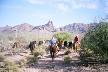 Quarter Circle U Ranch cowboys on the Old Coffee Flat Trail