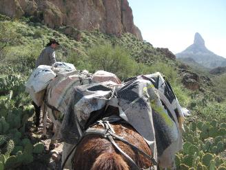 Jesse Feldman leading packhorses up the Bull Pass Trail